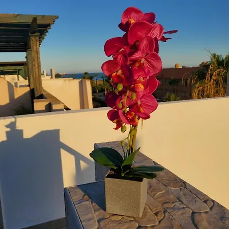 Atico Duplex Con Piscina Privada Y Vistas Al Mar En Paraiso De Vera! Vera